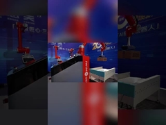 Revolutioneer palletisering met palletiserende visuele herkenningstechnologie