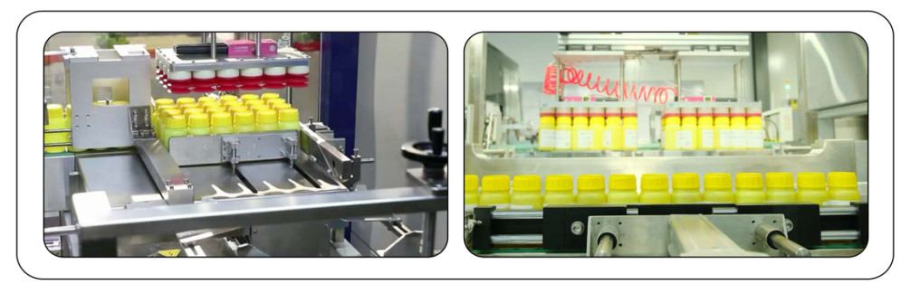 KZ-2T Volledig automatische kartonverpakkingsmachine voor gewone ronde of vierkant glasflessen en plasticflessen