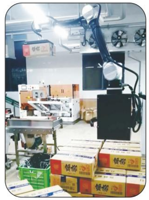 AI-RMD30 AI Collaborative Palletizing Robot (≤9 cartons/min)  ¢ Intelligente flexibele palletiseringsoplossing voor verschillende scenario's